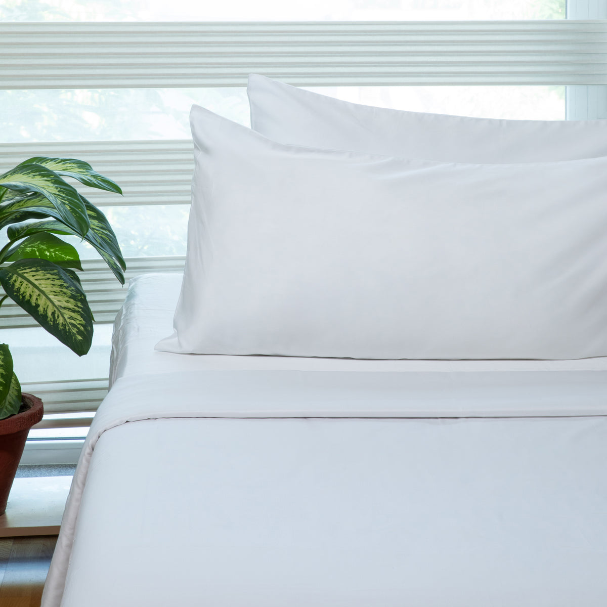 Organic Cotton Sheets & Pillowcases